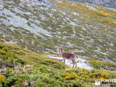 Cuerda Larga - Miraflores de la Sierra; rutas de senderismo en cuenca ruta del alto tajo hoces de be